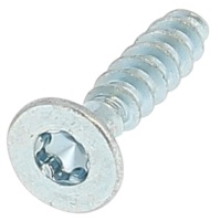 Countersunk Torx Head