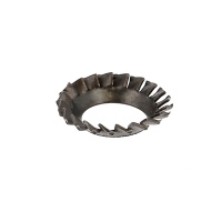Steel