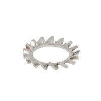 External Tooth