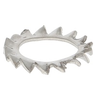 Lock Washers