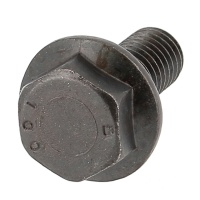 Hex Head With Ribbed Flange