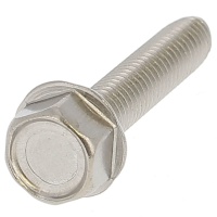 Hex Head , Flanged