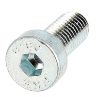 Hex Socket Round Head Screw (Low Head), White Zinc 8.8 Steel, DIN 7984