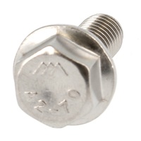 Hex Head, Toothed Flange, A2 Stainless Steel, DIN 6923