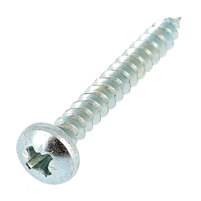 Wood and Chipboard Screw, Torx, White Zinc Steel